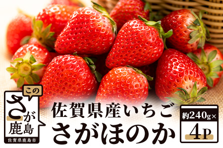 【予約受付】佐賀県産いちご 「さがほのか」 約240ｇ×4パック B-464