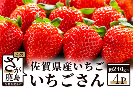 【予約受付】佐賀県産いちご 「いちごさん」 約240ｇ×4パック B-465