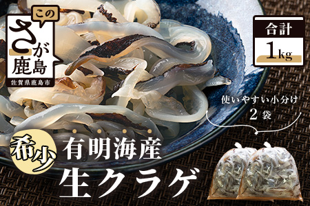 AA-32【有明海産】希少！新物！生クラゲ１ｋｇ（ビゼンクラゲ）