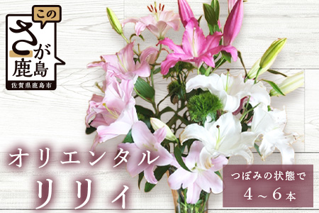 生産者直送】高レビュー5.0 幸せと笑顔を届けるオリエンタルリリィ ユリ 百合 花 切り花 フラワー 艶やか 美しい 華やか 可憐 鮮やか 長持ち 強い 有機肥料 自然 人気 ラッピング プレゼント 贈り物 贈答 佐賀県 鹿島市 送料無料 B-313