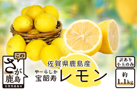 A-140【訳あり】低温蔵出し 宝韶寿レモン 約1.2kg（小玉のみ）ノーワックス