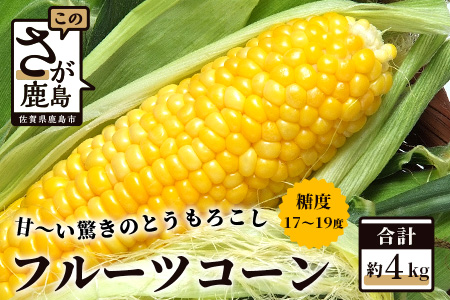 B-124 驚く甘さ！フルーツコーン　約４ｋｇ