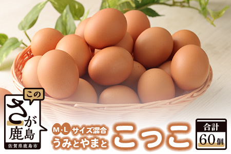 C-54 佐賀鹿島産 平飼い卵「うみとやまとこっこ」上田養鶏場 たまご60個 60個