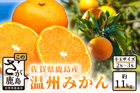 B-279佐賀県鹿島産『温州みかん』小玉 約１１ｋｇ