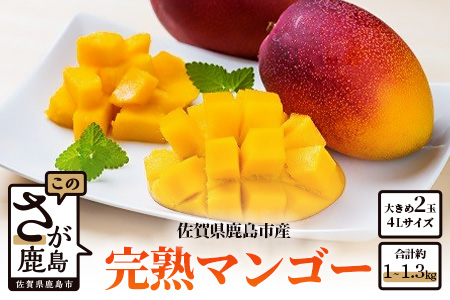 C-36 【生産者直送】濃厚完熟!まっちゃんマンゴー（大きめ4L×2玉）【2024年5月中旬頃から6月初旬発送】