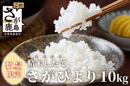 B-351【数量限定】令和５年産 佐賀県鹿島市産 さがびより 白米10kg お米マイスターセレクト！