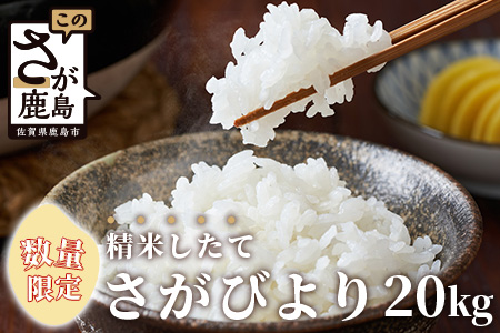 D-105【数量限定】令和５年産 佐賀県鹿島市産 さがびより 白米20kg お米マイスターセレクト！