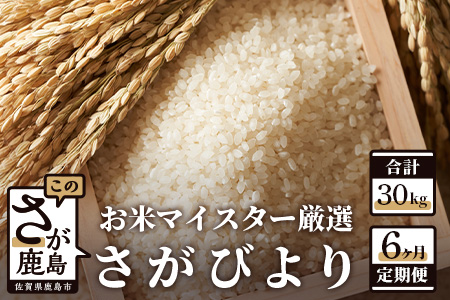 さがびより 新米 定期便 6ヶ月 佐賀県産 白米 5kg《6ヶ月連続 毎月お届け》F-28 6回 令和7年産 白米5kg×6回定期便