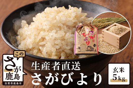 B-387【生産者直送】佐賀県鹿島市産 さがびより　玄米５ｋｇ