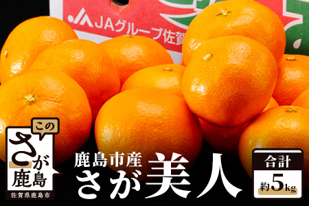 【さが美人 みかん 約5kg】 温州みかん フルーツ 果物 ギフト 贈答 ミカン 蜜柑 柑橘 くだもの 果実 国産 佐賀県 鹿島市 ふるさと 人気 送料無料 【10月下旬～12月頃発送予定】