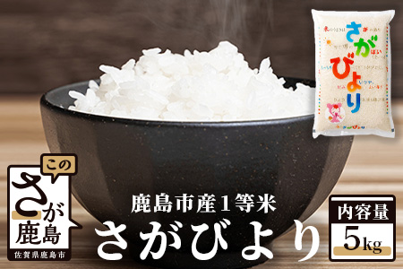 B-352【新鮮米】1等米 佐賀県鹿島産さがびより白米5kg 令和5年産