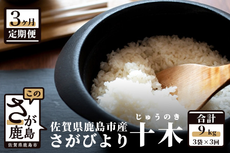 E-92 肥前の国 新鮮米 十木（さがびより）3kg×3か月定期便
