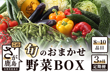 C-47 【３ヶ月お届け】旬のおまかせ野菜BOX定期便