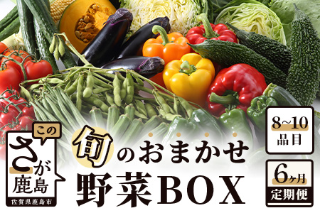 E-72 【６ヶ月お届け】旬のおまかせ野菜BOX定期便