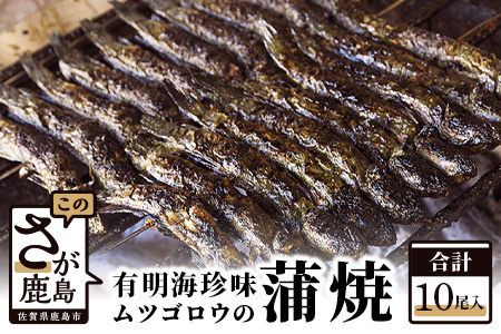 B-275 むつごろうの蒲焼　１０尾入り