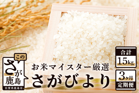 さがびより 新米 定期便 3ヶ月 佐賀県産 白米 5kg《3ヶ月連続 毎月お届け》D-63 3回 令和7年産 白米5kg×3回定期便