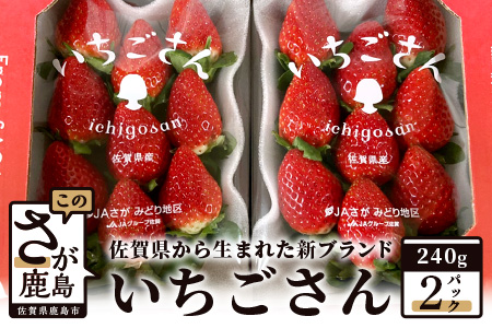 【先行予約】いちご 新ブランド 【いちごさん】 キューブ 240ｇ×2パック 《2025年1月上旬～3月発送》A-135