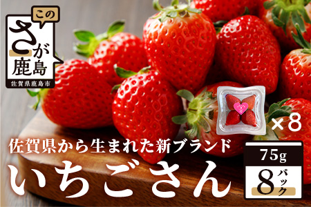 【先行予約】いちご 新ブランド 【いちごさん】 てのひらギフトセット 75g×8パック 計600g 1パック4～5玉入 【2025年1月上旬～3月発送】 JA直送 鮮度抜群 佐賀県 鹿島市 A-153