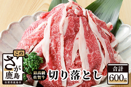 B-105 最高級ブランド『佐賀牛』切落し　６００ｇ