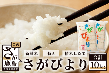 C-42【新鮮米】佐賀県鹿島産さがびより白米5kg×2袋 令和5年産