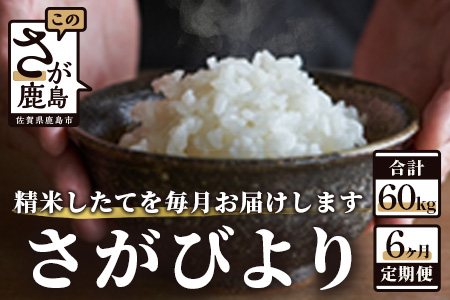 L-29【新鮮米】佐賀県鹿島市産さがびより 白米10kg定期便（６か月お届け）【1等米】