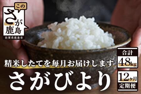 J-17【新鮮米】佐賀県鹿島市産さがびより 白米4kg定期便（１２か月お届け）【1等米】