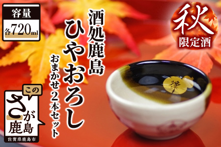 B-166  酒処鹿島の秋限定酒 『ひやおろし』 セット（720ml×2本）