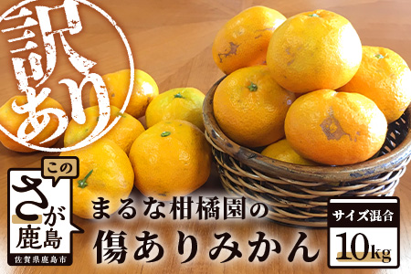 【訳あり】【先行予約】【数量限定】【2025年9月下旬頃より発送予定】生産者応援！まるな柑橘園の傷ありみかん 約10kg サイズ混合 訳ありB-455