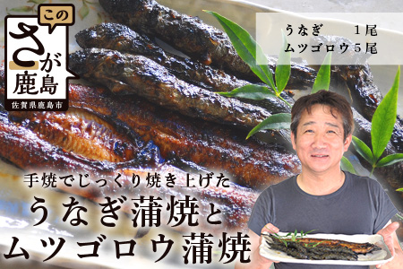 うなぎ蒲焼１尾とムツゴロウ蒲焼５尾入り　C-8