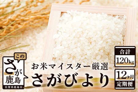 【11月より発送開始】定期便 12ヶ月 佐賀県産 さがびより 白米 10kg《12ヶ月連続 毎月お届け》S-1 12回 白米10kg×12回定期便