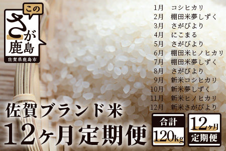 V-26【12か月定期便】佐賀ブランド米定期便（10kg×12回）