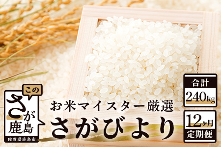 V-11 《12ヶ月定期便》鹿島市産さがびより　白米（毎月２０ｋｇ×１２回）