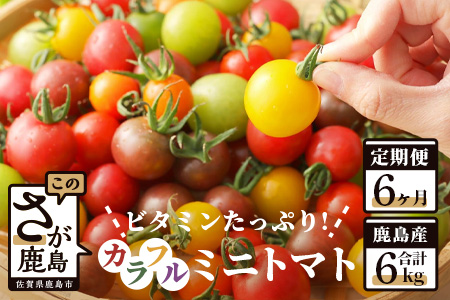 【先行予約】 カラフルミニトマト 『Ricotomato』 【1kg×6回定期便】 【2024年12月から出荷】 H-11