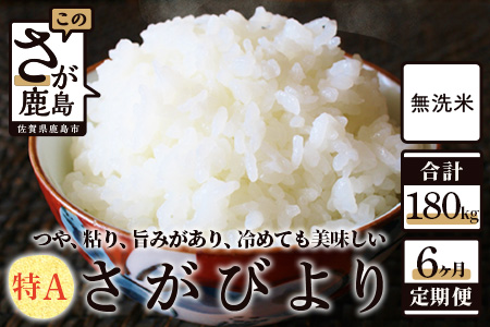 T-5 無洗米さがびより30kg定期便（6か月）