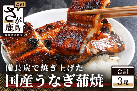 国産 うなぎの蒲焼　３尾入り  |大型サイズ 国産 鰻 ウナギ 蒲焼き タレ付き 密封パック入り 佐賀県 鹿島市 冷蔵 E-5 ３尾入り