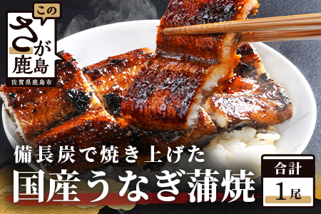 B-14 国産 うなぎの蒲焼 １尾入り 【180～200g】 大型サイズ 国産 鰻 ウナギ 蒲焼き タレ付き 密封パック入り 佐賀県 鹿島市 冷蔵 １尾入り