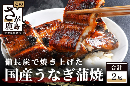 国産 うなぎの蒲焼　２尾入り |大型サイズ 国産 鰻 ウナギ 蒲焼き タレ付き 密封パック入り 佐賀県 鹿島市 冷蔵 D-6 ２尾入り