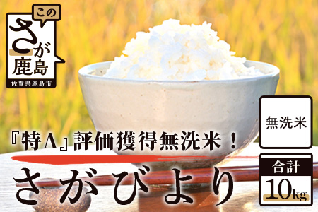B-446 佐賀県産 厳選 さがびより（無洗米）白米 １０kg