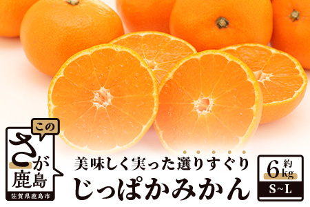 【先行予約】（2026年12月頃発送） ”じっぱか”鹿島産みかん 約６kg 【サイズ別】【期日指定不可】国産 佐賀県産 ミカン 蜜柑 果物 フルーツ A-99