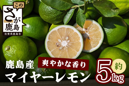 【産地直送】【農家直送】【予約受付】佐賀県鹿島市産　マイヤーレモン　5kg サイズ混合 【9月中旬頃より配送】B-726