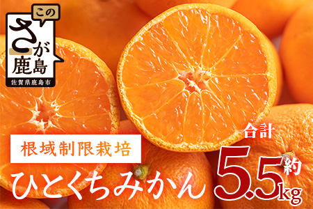 【１２月～１月上旬お届け】鹿島みかん 根域制限栽培一口みかん 約５.５ｋｇ A-178