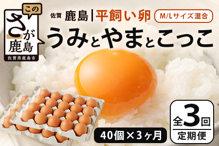 【定期便 3回】平飼い卵「うみとやまとこっこ」上田養鶏場 たまご40個 × 3ヶ月【合計120個】佐賀県鹿島産 卵 タマゴ E-128 40個 × 3ヶ月【合計120個】