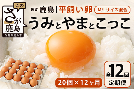 【定期便 12回】平飼い卵「うみとやまとこっこ」上田養鶏場 たまご20個 × 12ヶ月【合計240個】佐賀県鹿島産 卵 タマゴ I-32 20個 × 12ヶ月【合計240個】