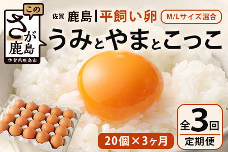 【定期便 3回】平飼い卵「うみとやまとこっこ」上田養鶏場 たまご20個 × 3ヶ月【合計60個】佐賀県鹿島産 卵 タマゴ C-112 20個 × 3ヶ月【合計60個】