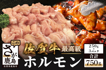 B-557　佐賀牛ホルモン750ｇ（250ｇ×3）