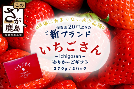 いちごさん　ゆりかーごギフト B-728