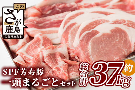 【総重量 約37kg】SPF芳寿豚1頭まるごとセット(分割発送可能)【用途はあなた次第!! 贅沢にまるまる1頭味わい尽くしちゃってください!!】X-2