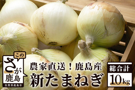 AA-17【先行予約】【2025年4月より順次出荷】【生産者直送】鹿島産 新たまねぎ 約10kg サイズ混合 | ふるさと納税 玉葱 野菜 玉ねぎ タマネギ 新玉ねぎ 国産 佐賀県産 鹿島市 安心 安全 満足 リピーター 高評価 人気 送料無料