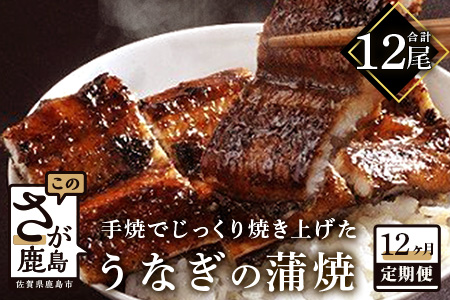 国産 うなぎの蒲焼（１尾入り）１２か月定期便  |大型サイズ 国産 鰻 ウナギ 蒲焼き タレ付き 密封パック入り 佐賀県 鹿島市 冷蔵 P-5 12か月定期便（１尾入り）