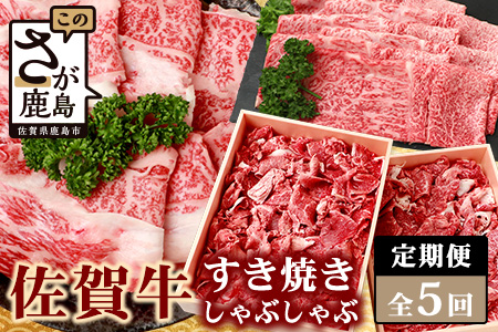 【定期便5回】佐賀牛 しゃぶしゃぶ・すき焼き 定期便 肩ロース モモ 切落し L-42